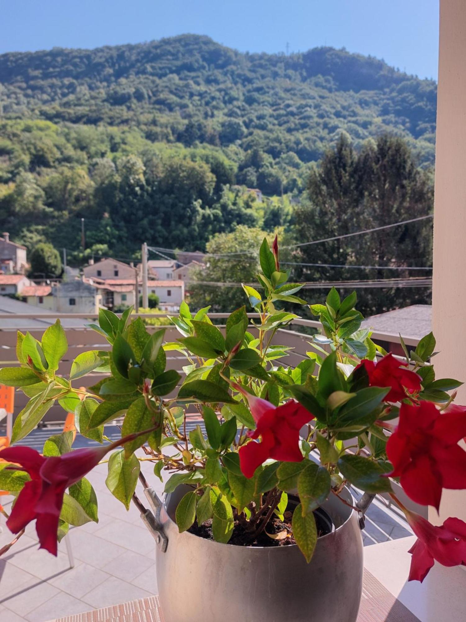 Appartamento Augusta Vittorio Veneto Bagian luar foto